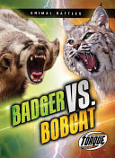 Badger_vs__bobcat